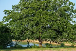 Tbd Kirk Corners, Harwood, TX 78632 - Photo 3