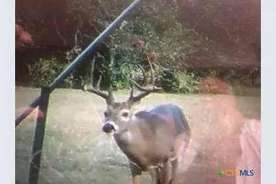 Tbd Kirk Corners, Harwood, TX 78632 - Photo 17