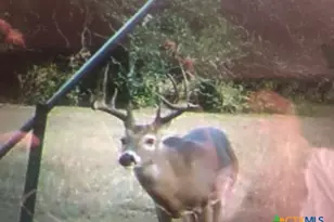 Tbd Kirk Corners, Harwood, TX 78632 - Photo 17