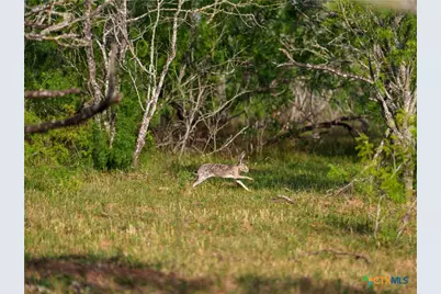 Tbd Kirk Corners, Harwood, TX 78632 - Photo 25