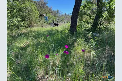 1409 County Road 147, Gatesville, TX 76528 - Photo 9