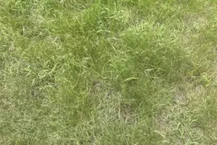 0 Roberts Rd, Holland, TX 76534 - Photo 11