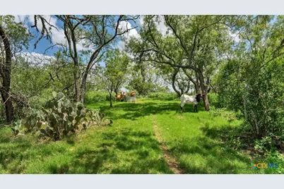 209 Fm 1344, Floresville, TX 78114 - Photo 29