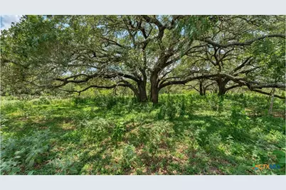 209 Fm 1344, Floresville, TX 78114 - Photo 23