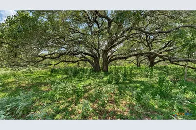 209 Fm 1344, Floresville, TX 78114 - Photo 25