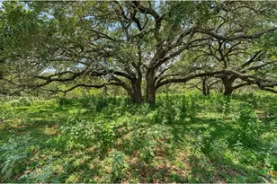 209 FM 1344, Floresville, TX 78114 - Photo 25