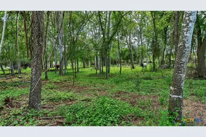 209 Fm 1344, Floresville, TX 78114 - Photo 39