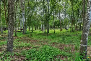 209 FM 1344, Floresville, TX 78114 - Photo 39