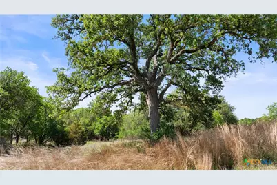 11755 Rm 1323, Johnson City, TX 78636 - Photo 11