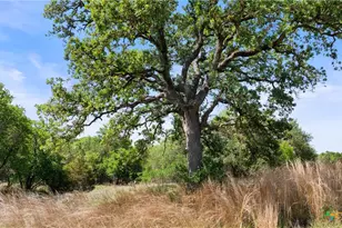 11755 Rm 1323, Johnson City, TX 78636 - Photo 11