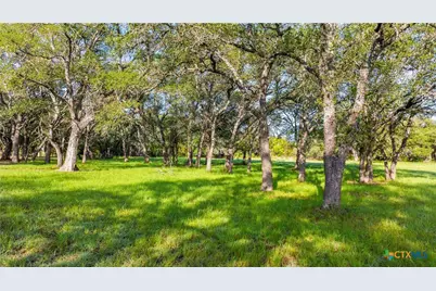 Lot 7 Morning Dew Drive, Round Mountain, TX 78663 - Photo 9