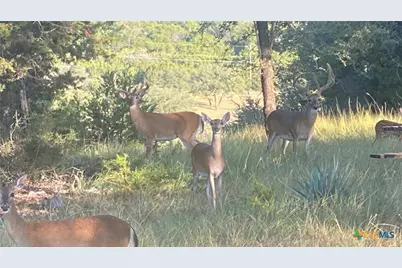 4360 Flint Oak Drive, Belton, TX 76513 - Photo 47