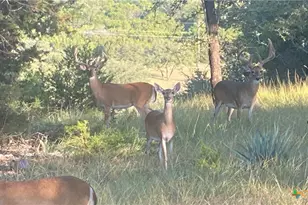 4360 Flint Oak Dr, Belton, TX 76513 - Photo 47