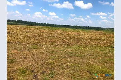 Tbd County Road 421, Thrall, TX 76578 - Photo 19