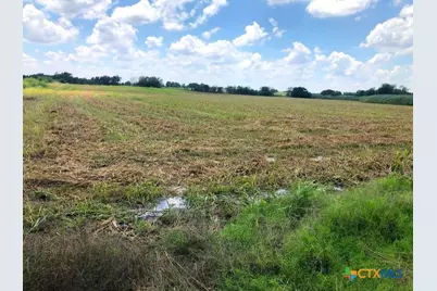 Tbd County Road 421, Thrall, TX 76578 - Photo 7