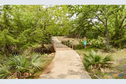 423 Rittimann Road, Spring Branch, TX 78070 - Photo 7