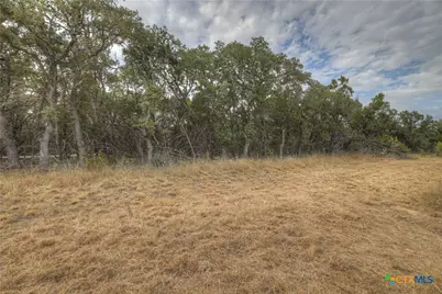 306 Lakewood Court, Canyon Lake, TX 78133 - Photo 9