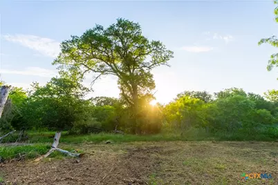 Tbd 42 Acres Fm 1117, Seguin, TX 78155 - Photo 17