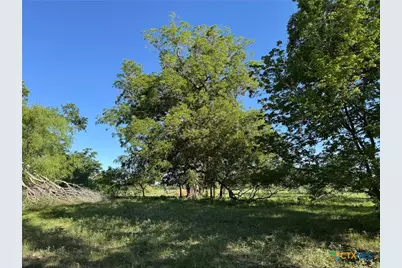 Tbd 42 Acres Fm 1117, Seguin, TX 78155 - Photo 9