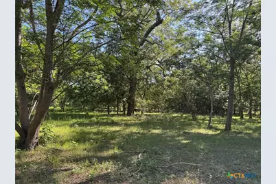 Tbd 42 Acres Fm 1117, Seguin, TX 78155 - Photo 31