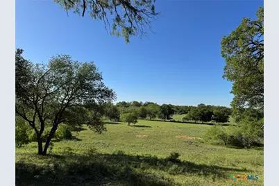Tbd 42 Acres Fm 1117, Seguin, TX 78155 - Photo 7