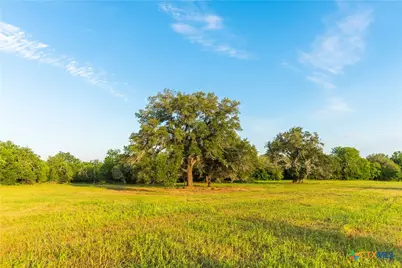 Tbd 42 Acres Fm 1117, Seguin, TX 78155 - Photo 15
