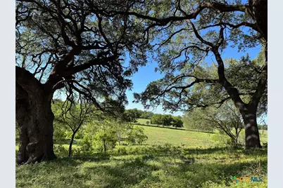Tbd 42 Acres Fm 1117, Seguin, TX 78155 - Photo 25