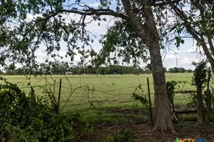 7805 Barbarossa Rd, New Braunfels, TX 78130 - Photo 15