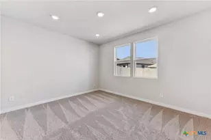 118 Cutleaf Cove, San Marcos, TX 78666 - Photo 13