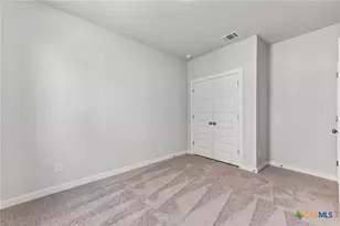 118 Cutleaf Cove, San Marcos, TX 78666 - Photo 25