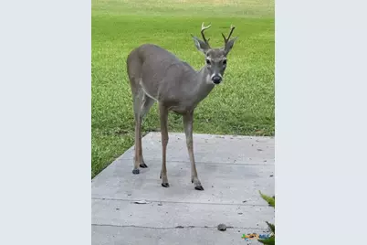 313 Treasure Oaks Road, Inez, TX 77968 - Photo 39