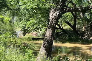 4849 Fm 1030, San Saba, TX 76877 - Photo 7