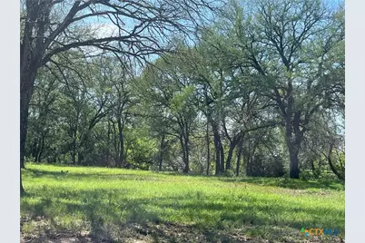 4849 Fm 1030, San Saba, TX 76877 - Photo 11