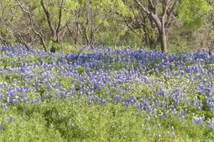 4849 Fm 1030, San Saba, TX 76877 - Photo 17
