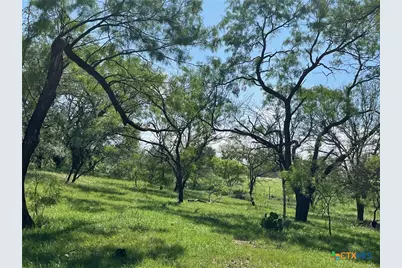 4849 Fm 1030, San Saba, TX 76877 - Photo 7