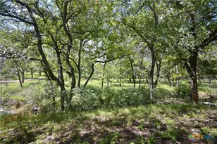 4849 Fm 1030, San Saba, TX 76877 - Photo 41