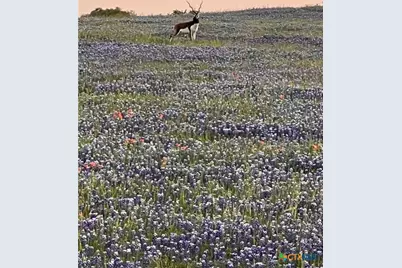 2265 County Road 106, Purmela, TX 76566 - Photo 1