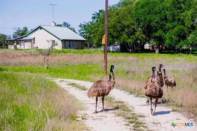 2265 County Road 106, Purmela, TX 76566 - Photo 11