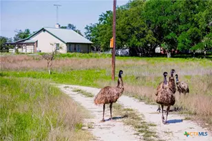 2265 Co Rd 106, Purmela, TX 76566 - Photo 11