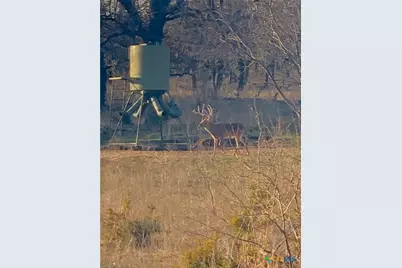 2265 County Road 106, Purmela, TX 76566 - Photo 35