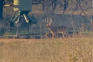 2265 Co Rd 106, Purmela, TX 76566 - Photo 35