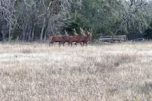 2265 Co Rd 106, Purmela, TX 76566 - Photo 29