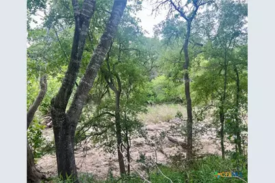 Tbd Narrows Road, Blanco, TX 78606 - Photo 7