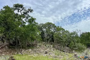 Tbd Narrows Rd, Blanco, TX 78606 - Photo 3
