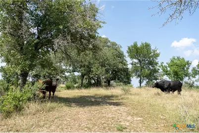 00 Gravel Pit Road, Seguin, TX 78155 - Photo 15