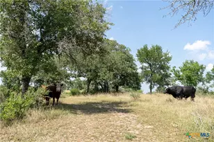 00 Gravel Pit Rd, Seguin, TX 78155 - Photo 15