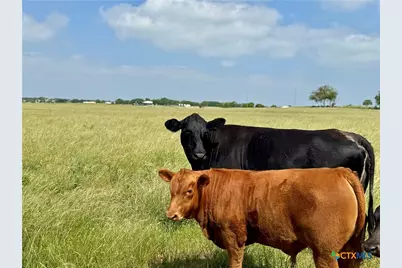 17 Acres Smith Dairy Road, Belton, TX 76513 - Photo 5