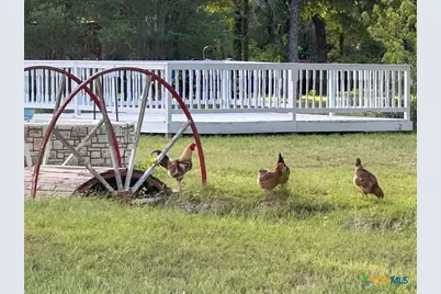 650 County Road 82, Gatesville, TX 76528 - Photo 17