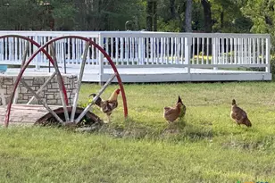 650 Co Rd 82, Gatesville, TX 76528 - Photo 17