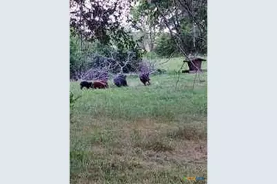 650 County Road 82, Gatesville, TX 76528 - Photo 29